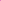 Nu Sensuelle Lyra Rechargeable Silicone App Compatible Panty Vibe (Magenta/Pink)